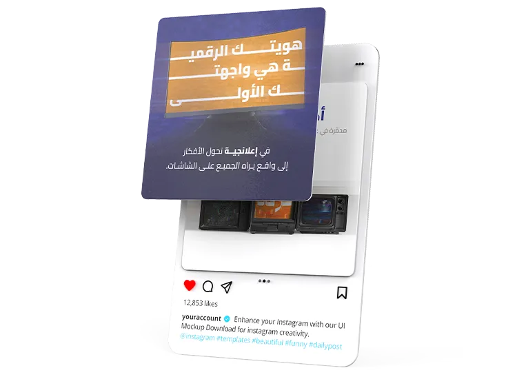 فيديوهات Reels وتيك توك